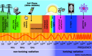 harmful effects of cell phone emf's