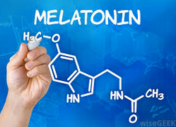 melatonin - should I supplement?